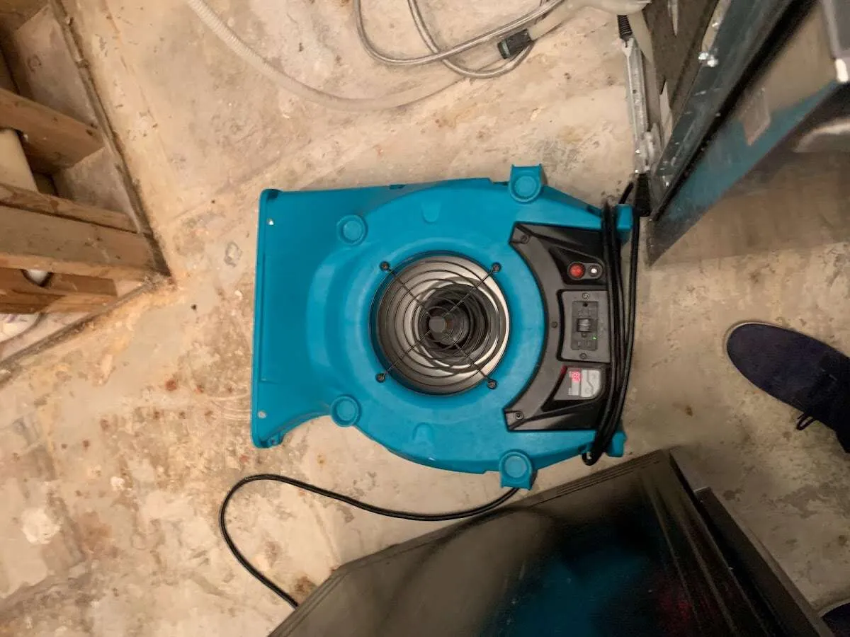 Air mover drying equipment for Mold Remediation & Removal in Pineville